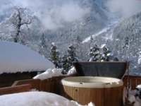 Location chalet vacances Chamonix-mont-blanc