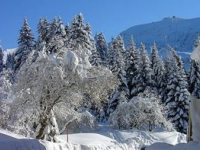 Location hôtel vacances Chamrousse